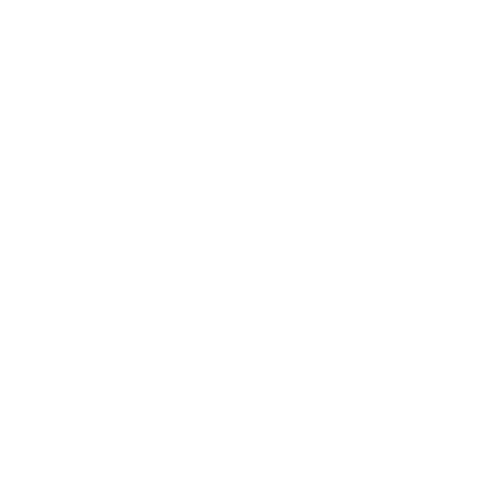 Skoda Service Partner